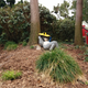 Illustration for article titled An Awesome Day At Legoland